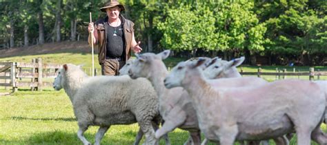 Careers Agrodome Rotorua