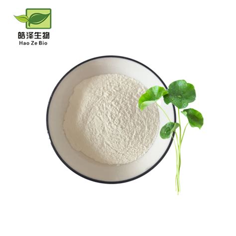 Hot Selling Plant Extract Gotu Kola Extract Centella Asiatica Powder