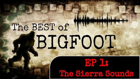 Best Evidence Of Bigfoot The Sierra Sounds Samurai Sounds Youtube