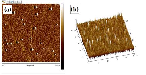 Atomic Force Microscopy Afm Images Of Chitosan In A D Scale And