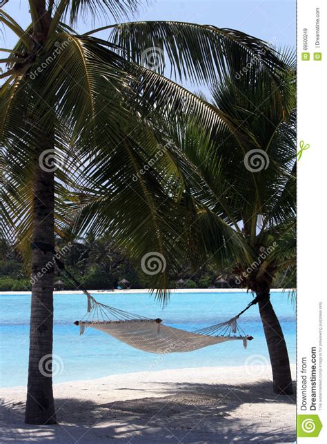 A Hammock Under The Trees Overlooking The Beach Stock Image Image Of