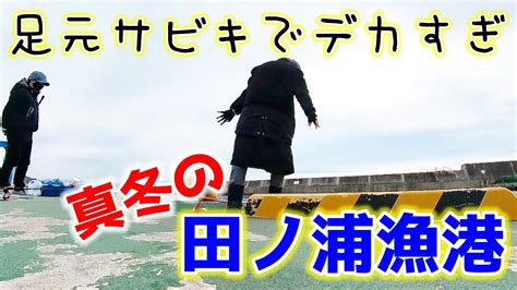 【サビキ釣り】和歌山【田ノ浦漁港】夫婦で真冬もサビキ釣り♪足元サビキでかかった大物の正体は？ Youtube