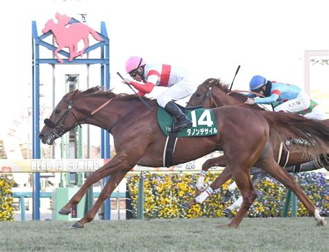 【皐月賞枠順】同舞台の京成杯制したダノンデサイルは8枠16番 G1初制覇へ安田師「成長を感じます」と準備万端：中日スポーツ・東京中日スポーツ