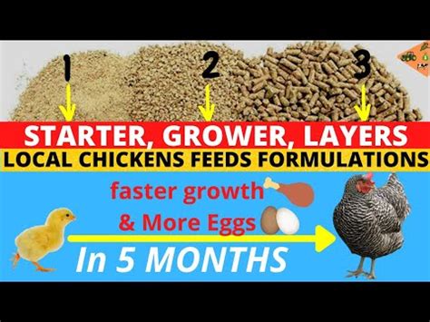 POULTRY CHICKEN FEEDS FORMULATIONS Starter Grower Layers Grow