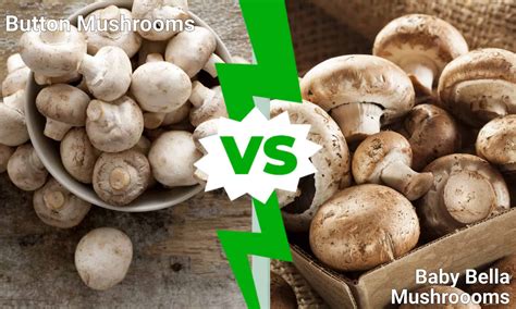 Button Mushrooms vs. Baby Bella Mushrooms - A-Z Animals