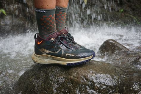 The Nike Pegasus Trail 4 Gore-Tex Can Handle Anything Outside Of A ...