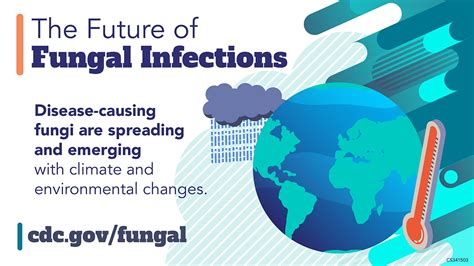 Fungal Disease Awareness Week: Social Media Toolkit | Fungal Diseases | CDC