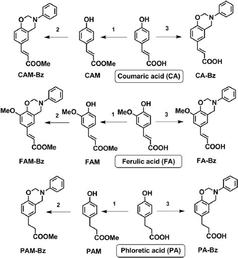 Scheme Structure Of Ca Fa And Pa And Synthesis Of The Benzoxazine