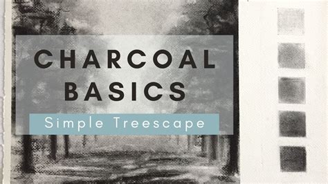 Charcoal Basics | Drawing for beginners | Step by step drawing | How to draw a simple treescape ...