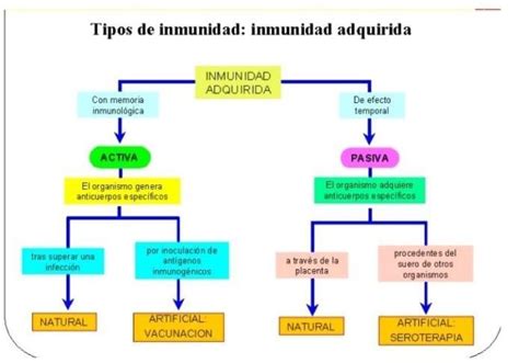 Cómo se explica el esquema proporcionando a continuación sobre