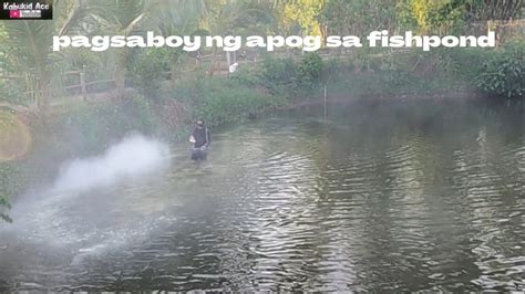 EP370 PAGSABOY NG APOG SA FISHPOND MAY EPEKTO BA SA MGA ISDA BAKIT