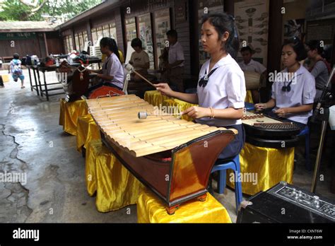 Thai students performing Ranat Ek (traditional Thai xylophone Stock Photo - Alamy