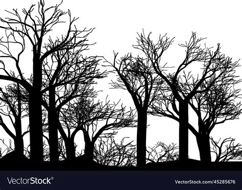 Forest Royalty Free Vector Image - VectorStock