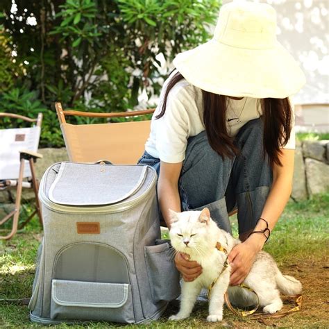 Bolsa Mochila Transporte Pet Luxo Cães Gatos Passeio Viagens