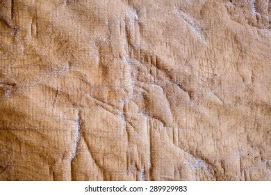Natural Background Eucalyptus Tree Bark Nude Stock Photo 2240511957