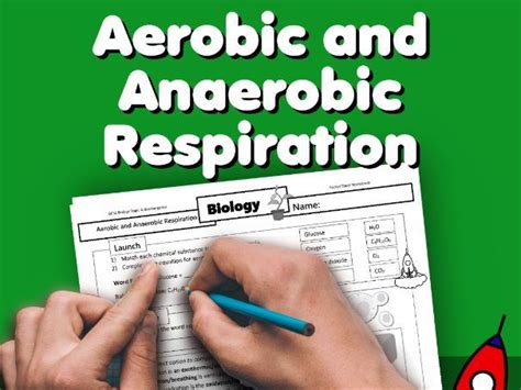 Aerobic And Anaerobic Respiration Worksheet Gcse Teaching Resources