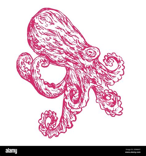 Red Octopus Isolated Hand Drawn Doodle Sketch In Woodcut Style