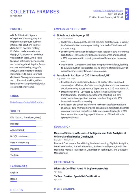 Top Bi Architect Resume Objective Examples Resumecat