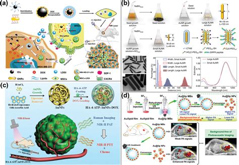 Pa Imaging Using Gold Nanomaterials A Detection Of Mscs Labeled With Download Scientific