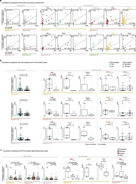 Association Of Mutational Signatures With Genomic Instability A