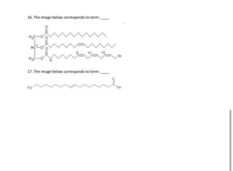 Solved 2. What elements do lipids contain? 1. 2. 3. 3. Many | Chegg.com