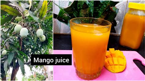 Homemade Mango Juice Recipe🥭mango Juice Mango Frooti Mango Juice Store Process Mango Recipe