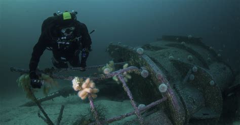 Get Funded For Project Diving British Sub Aqua Club