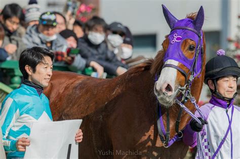 【新馬京都3r】武豊スペロデアがデビューv！ 競馬ニュースなら競馬のおはなし