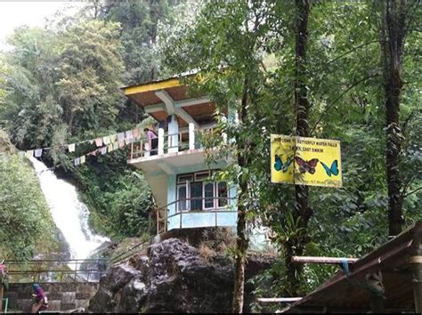 Top 4 things to do at Butterfly Waterfalls Gangtok