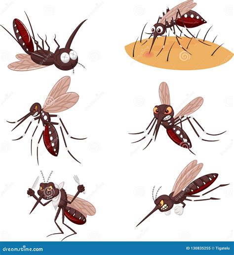 Cartoon Mosquito Collection Set Stock Vector Illustration Of Attack