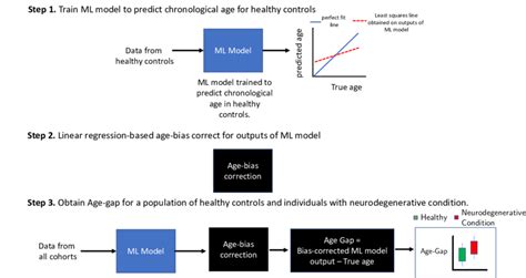 A General Overview Of Brain Age Evaluation Using Machine Learning