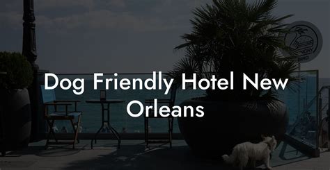 Dog Friendly Hotel New Orleans - Dog Hotels