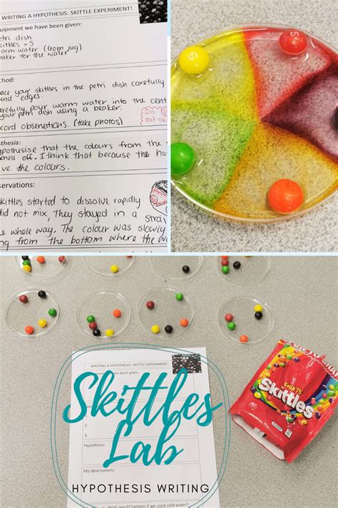 Skittles Experiment Worksheet