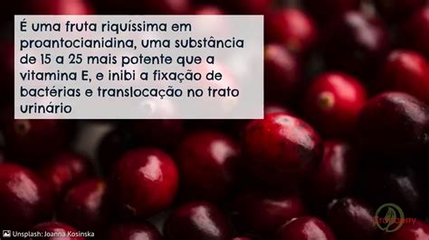 Cranberry And Tratamento Da Infecção Urinária Youtube