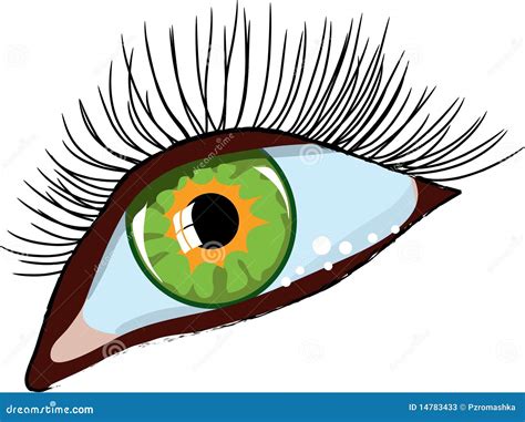 Green Woman S Eye Stock Vector Illustration Of Beauty 14783433