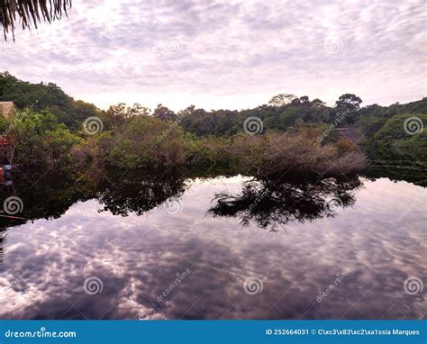 Sunrise of the Amazon Rainforest Stock Image - Image of black ...