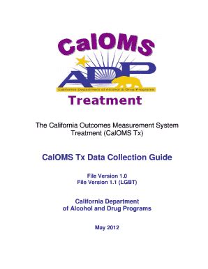 Fillable Online Sbcounty CalOMS Tx Data Collection Guide San