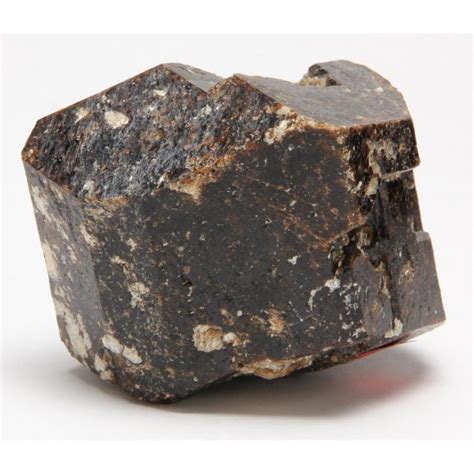 Large Garnet Crystal (Lot 194 - The Frank Menser Fossil and Mineral ...