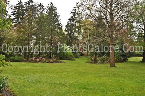 Westcroft Gardens - USA - Gardens, Parks, Squares and Open Spaces ...