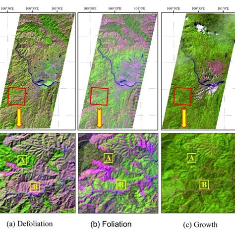 Three False Color Composite Map R G B Band Of Landsat Etm