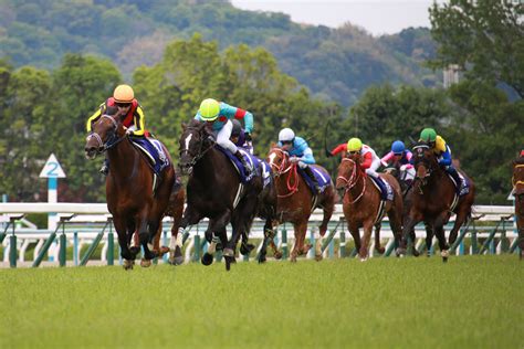 競馬aiがダイヤモンドs、京都牝馬sを予想 厳選ワイド3点＆3連複10点で勝負！ スポーツナビ