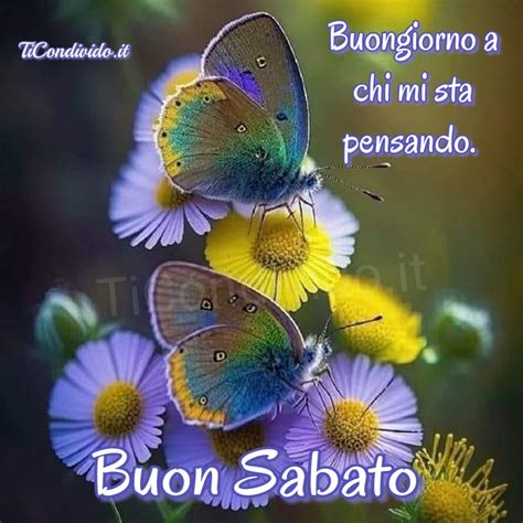 Immagini Buon Sabato Bellissime Immagini Da Condividere Sui Social