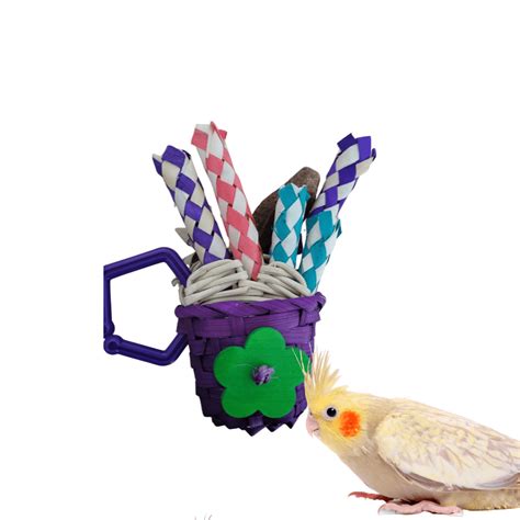 Surprise Basket Foraging Bird Toy Alexs Bird Kingdom