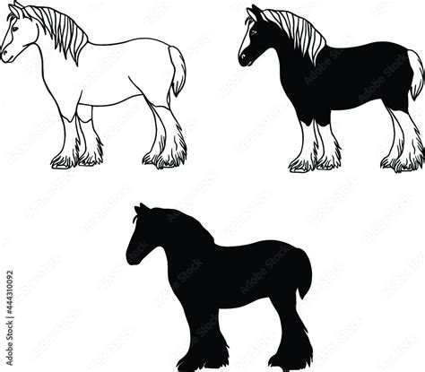 Clydesdale Horse Drawing Set - Vector Clipart Stock Vector | Adobe Stock