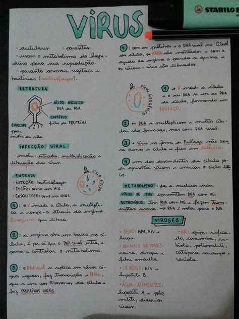 vírus mapa mental viroses parasitas Estudos para o enem Notas