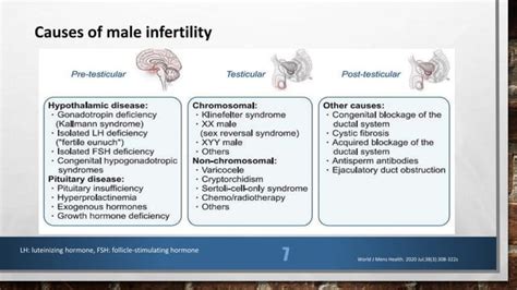 Male Infertilityupdatepptx