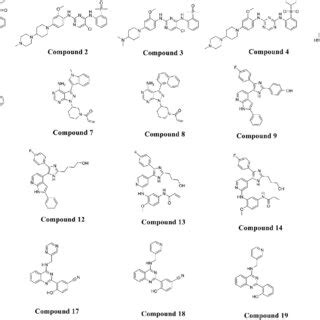 Fourth Generation Allosteric C S Egfr Inhibitors Y Shaped