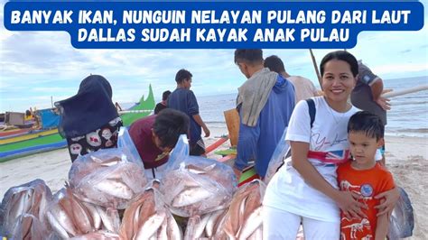 Banyak Ikan Nungguin Nelayan Pulang Dari Laut Dallas Sudah Kayak Anak