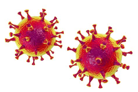 Coronavirus Was Ist Das Eigentlich Von Harmlosem Schnupfen Bis Zu