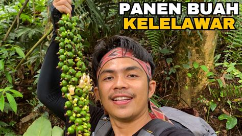 Menjelajah Hutan Mencari Buah Langka Camping Dan Bakar Ikan Hasil